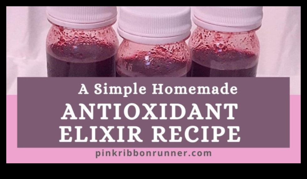 Antioksidantu eliksīrs: veselīgāka dzīvesveida veidošana dabiski