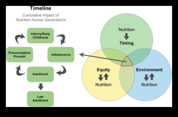 Uzturs visu vecumu cilvēkiem: sabiedrības veselības stratēģijas visā dzīves laikā