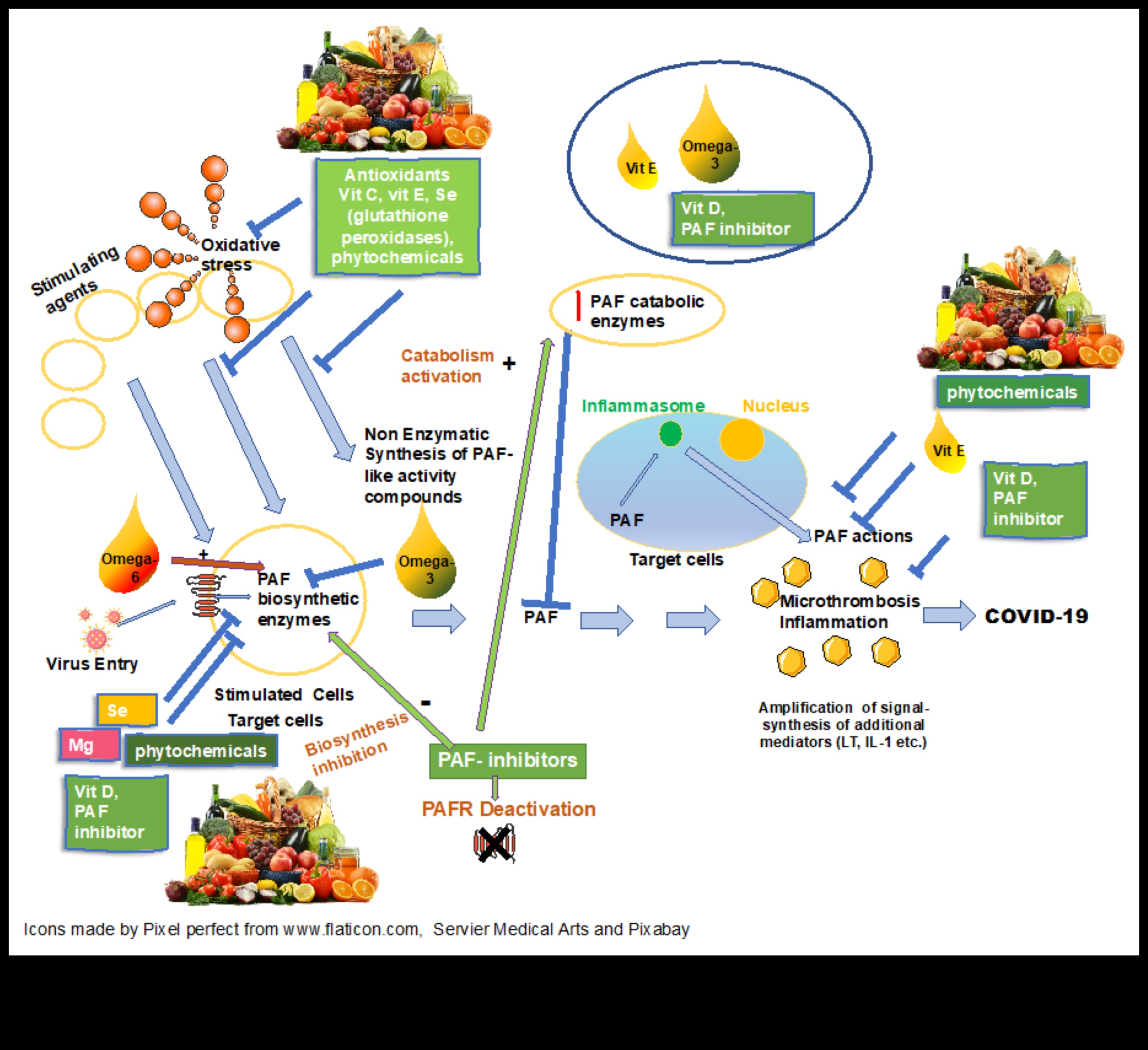 Mikroelementu simfonija: Veselības organizēšana ar uzturu