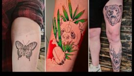 Creature Canvas: hronikas dzīvnieku tetovējumu mākslā