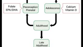 Uzturs visu vecumu cilvēkiem: sabiedrības veselības stratēģijas visā dzīves laikā