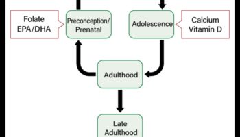 Uzturs visu vecumu cilvēkiem: sabiedrības veselības stratēģijas visā dzīves laikā