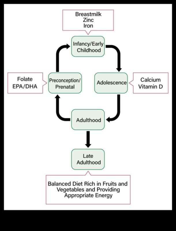 Uzturs visu vecumu cilvēkiem: sabiedrības veselības stratēģijas visā dzīves laikā