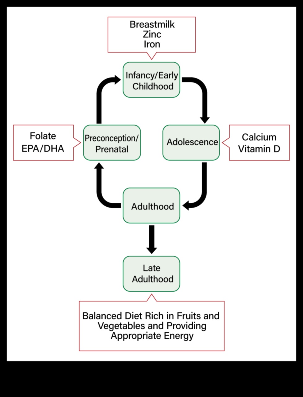 Uzturs visu vecumu cilvēkiem: sabiedrības veselības stratēģijas visā dzīves laikā