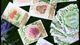 Čukstoši dīvaini: apburoši bērnudārza aprīkojuma atradumi